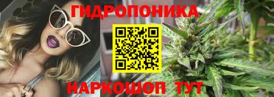 мескалин Кингисепп